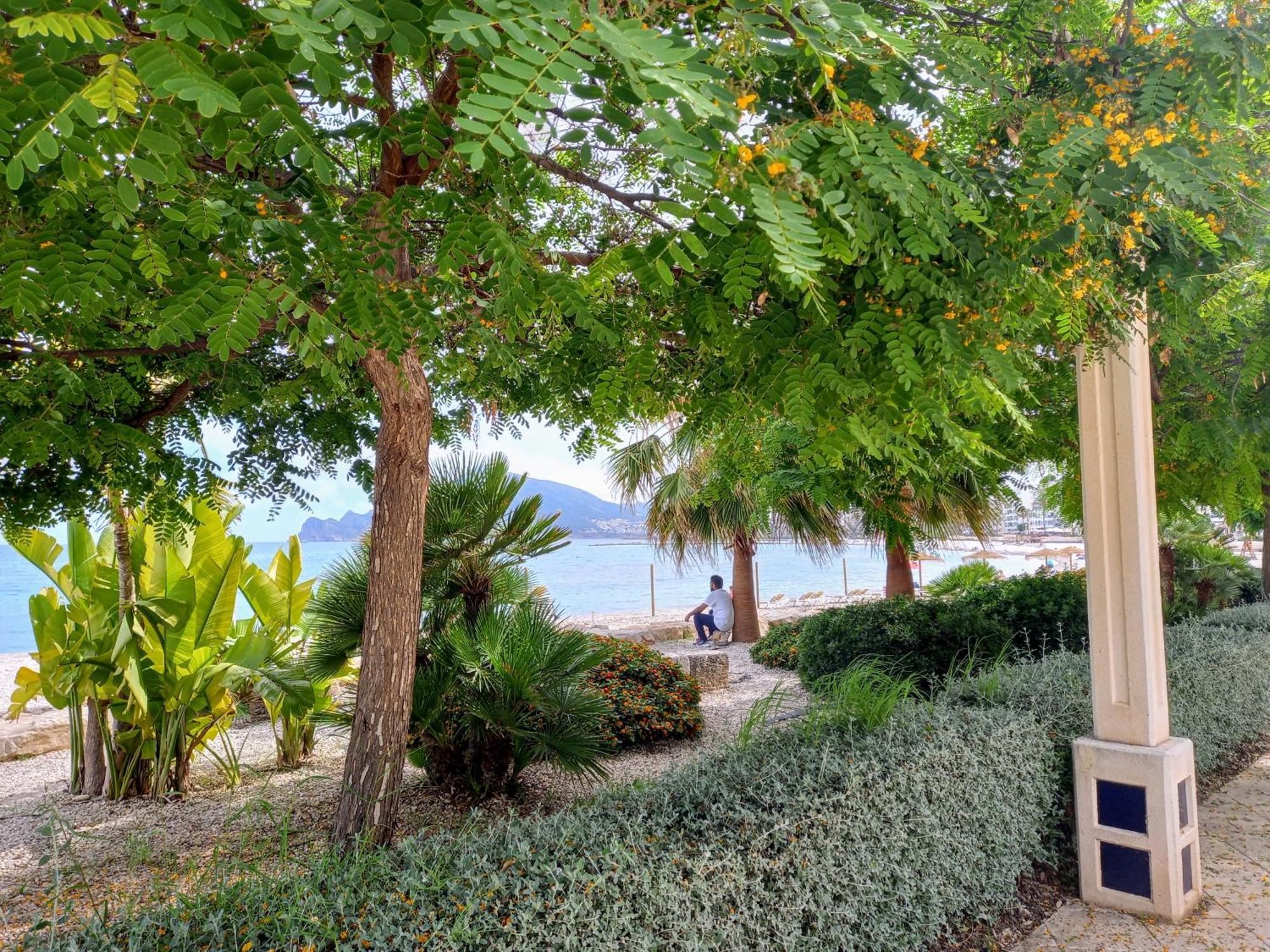 Townhouse Los Olivos M Altea Exteriér fotografie